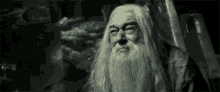 Dumbledore Smh GIF - Dumbledore Smh No GIFs