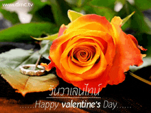 Happy Valentine'S Day Greeting Card GIF - Happy Valentine'S Day Greeting Card Orange Rose Flower GIFs