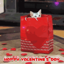 Valentine Cat Giftbag GIF - Valentine Cat Kitty Valentine Gift ...