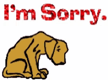 Dog Im Sorry GIF