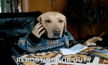 Dog Working GIF - Dog Working Phone GIFs