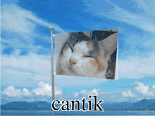 Cantik Fcsquad GIF - Cantik Fcsquad Cat GIFs
