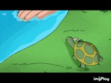 Curious George Turtle GIF
