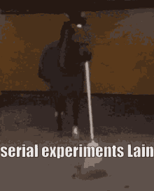 serial experiments lain serial experiments lain sangha