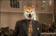 Doge Dogecoin GIF - Doge Dogecoin Praise GIFs