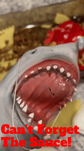 Shark Puppet Cant Forget The Sauce GIF - Shark Puppet Cant Forget The Sauce Sauce - Discover & Share GIFs Shark Puppet Cant Forget The Sauce GIF - Shark Puppet Cant Forget The Sauce Sauce - Discover & Share GIFs