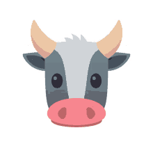 shocked cow