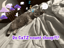 a cat is sleeping on a bed with the words do catz count sheep