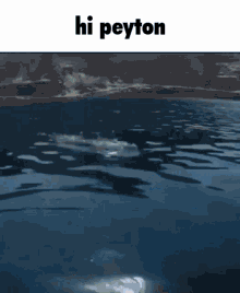 Peyton Fish GIF - Peyton Fish Goldfish GIFs