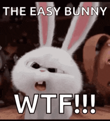 a picture of a bunny with the words " the easy bunny wtf !!! "