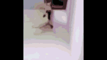 a blurred image of a person standing in front of a window