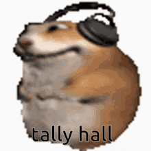 Tally Hall Tally Hall Meme GIF - Tally Hall Tally Hall Meme Hamster GIFs