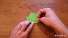a person is making an origami frog with the words made in animotica visible