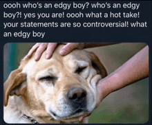 a person petting a dog 's head with a caption that says " who 's an edgy boy "