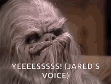 Yes Jareds Voice GIF - Yes Jareds Voice Chewbacca GIFs