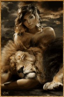 Lion Sleep GIF