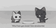Cats Straberries GIF - Cats Straberries Complain GIFs