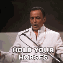 Hold Your Horses Frank Sinatra GIF