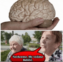 a person is holding a model of a brain in their hand while another woman looks on .
