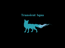 a silhouette of a cat with a green eye and the words transient / iquita below it
