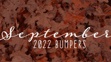 Sept 2022 Bumpers GIF - Sept 2022 Bumpers GIFs