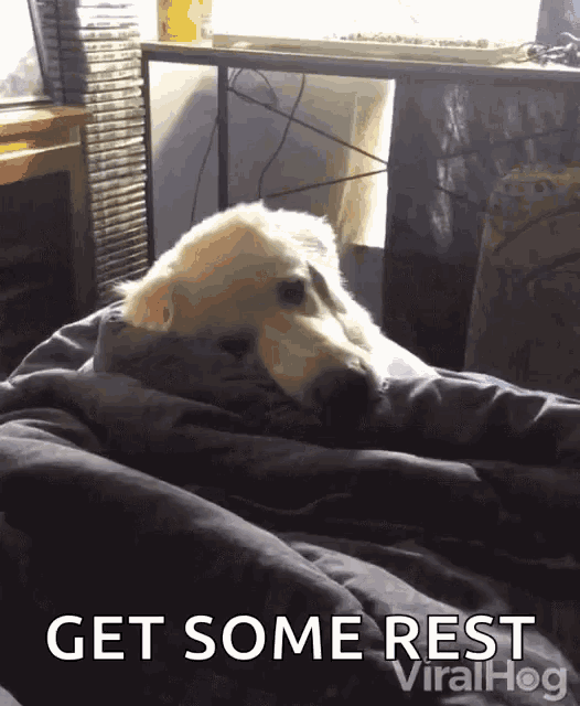 You Need To Rest GIFs | Tenor