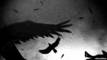 a black and white photo of birds flying in the air