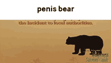 Penis Penis Bear GIF - Penis Penis Bear Bear GIFs
