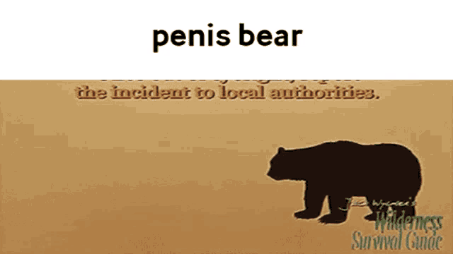 Bear Penis GIFs | Tenor