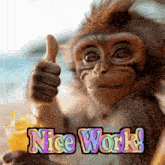 a monkey is giving a thumbs up sign while holding a glass of orange juice in its hand .