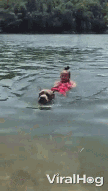 Swim To The Rescue GIF - Swim To The Rescue Cool Dog GIFs