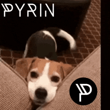 Pyi Pyrin GIF - Pyi Pyrin GIFs