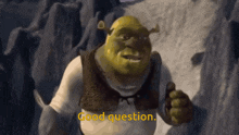 Shrek Shrek Meme GIF - Shrek Shrek Meme Shrek Good Question GIFs