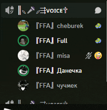a screenshot of a voice chat with ffa cheburek ffa full ffa misa and ffa