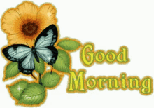 Good Morning Butterfly GIF - Good Morning Butterfly Flower GIFs