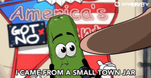 I Came From A Small Town Jar And Ive Always Wanted To Be A Star Pickle GIF