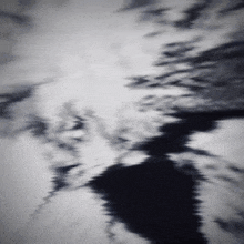 a black and white photo of a reflection of trees in a body of water