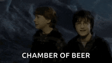 Harry Potter Harry Potter And Chamber Of Secrets GIF - Harry Potter Harry Potter And Chamber Of Secrets Warner Bros GIFs