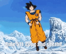 Rule511 Cope And Seethe GIF - Rule511 Cope And Seethe Cope GIFs