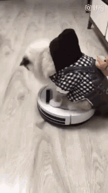 cat meow robot vacuum
