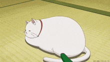 a close up of a white cat 's face with yellow eyes