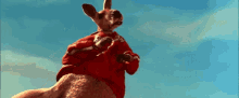 Kangaroo Rvn GIF
