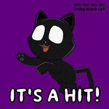 a very very very very lucky black cat