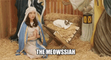 The Meowssiah Aubrey Plaza GIF - The Meowssiah Aubrey Plaza Grumpy Cat GIFs