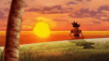 Dragon Ball Z Goku GIF - Dragon Ball Z Goku Sun Set GIFs