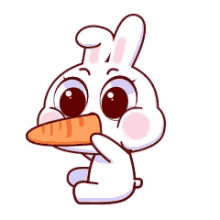 bunny food carrot