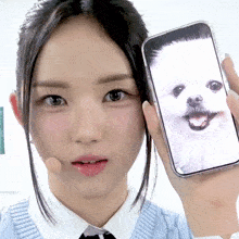 a woman holds up a phone with a picture of a white dog on it