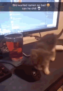 Cat Game GIF - Cat Game RamenCat - Discover & Share GIFs