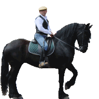 a man riding a black horse with a saddle that has a green saddle pad