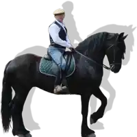 a man riding a black horse with a saddle that has a green saddle pad